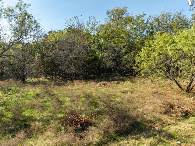 17136 Woodlawn Dr, Whitney, TX 76692