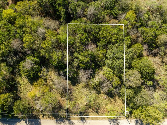 17136 Woodlawn Dr, Whitney, TX 76692