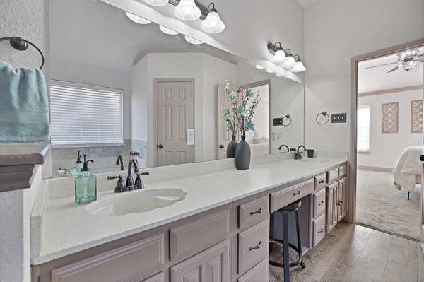 bathroom with vanity and wood-type flooring