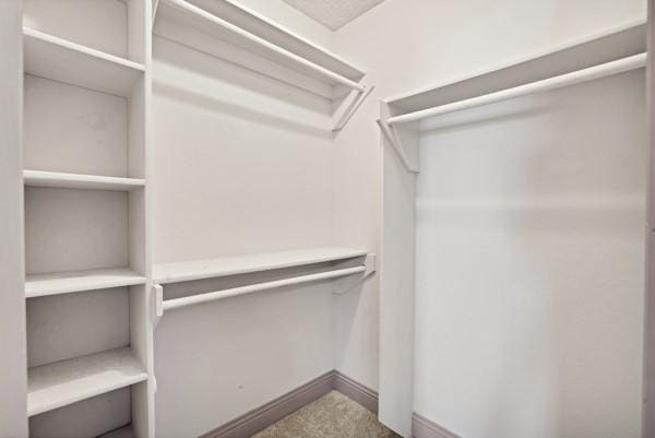 view of walk in closet