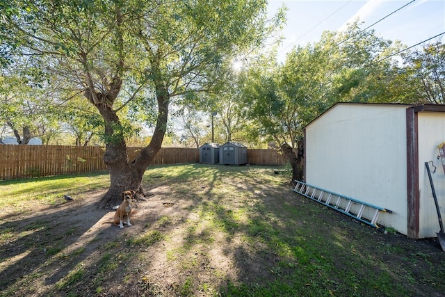 view of yard featuring a shed