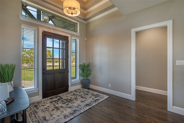 foyer entrance with dark wood-type flooring and crown molding