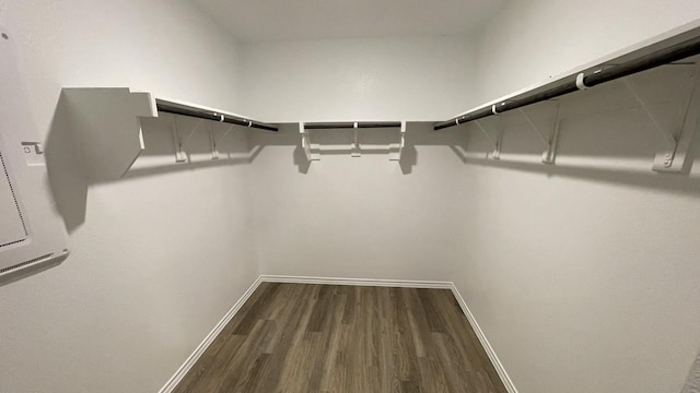 spacious closet with hardwood / wood-style flooring