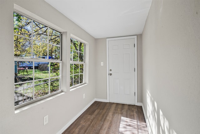 entryway with dark wood-type flooring