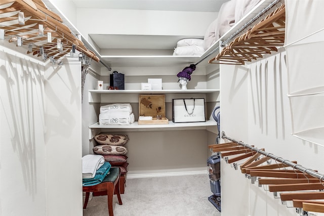 spacious closet featuring carpet flooring