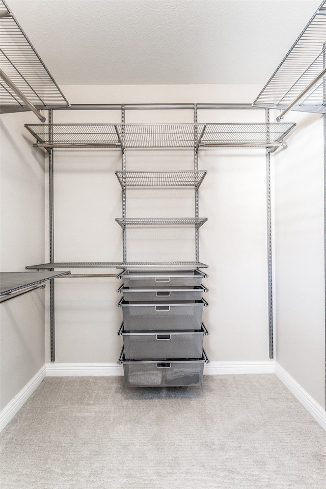 walk in closet featuring carpet flooring