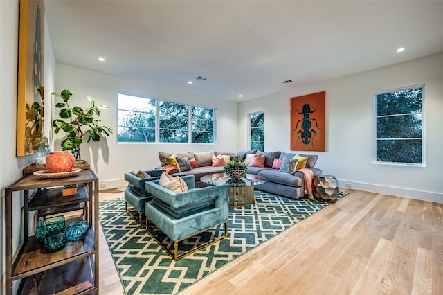 living room with hardwood / wood-style floors