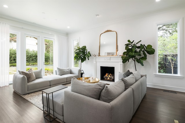 living room featuring ornamental molding and dark wood-type flooring