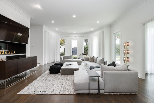 living room featuring a tiled fireplace, dark hardwood / wood-style flooring, and ornamental molding