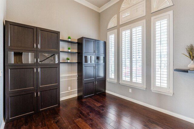 interior space with ornamental molding, dark hardwood / wood-style floors, and a healthy amount of sunlight