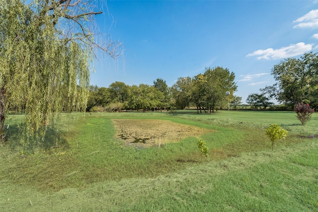 view of yard featuring a rural view