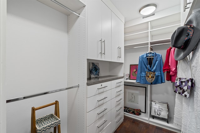 spacious closet featuring dark hardwood / wood-style flooring