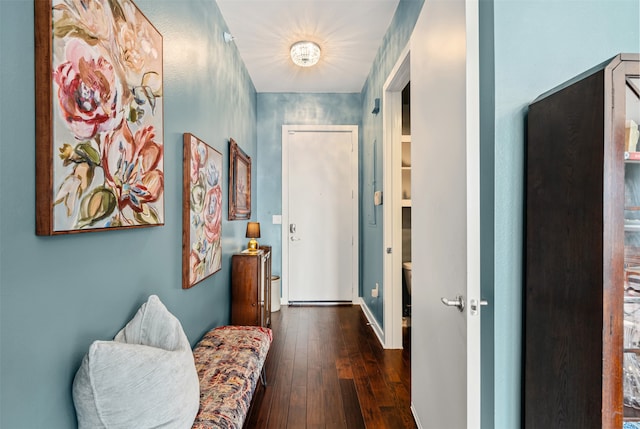 hallway featuring dark hardwood / wood-style flooring