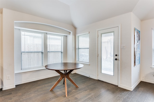 foyer entrance with dark hardwood / wood-style floors and vaulted ceiling