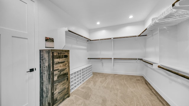 spacious closet with light colored carpet