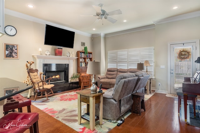 living room with dark wood-type flooring, ceiling fan, and ornamental molding