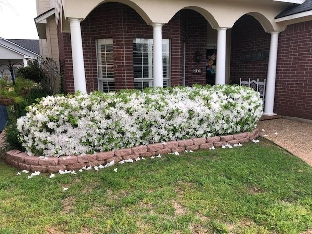 exterior space featuring a yard