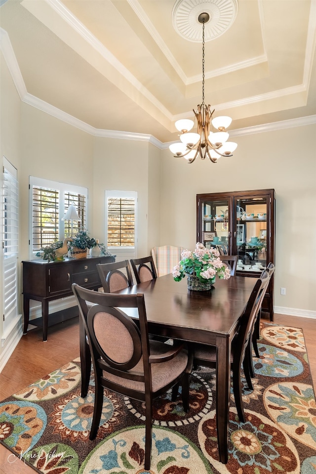 dining room with light hardwood / wood-style flooring, plenty of natural light, and a raised ceiling