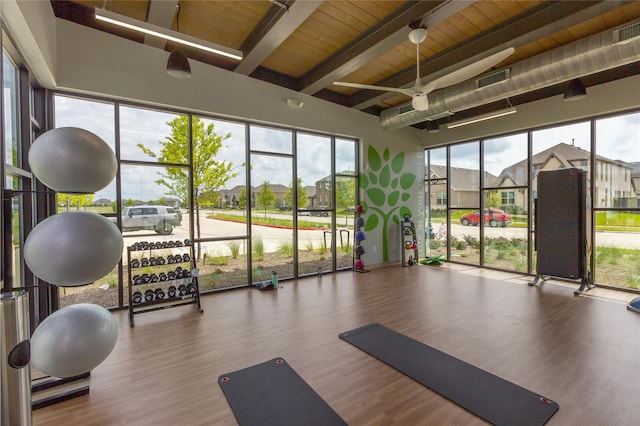 exercise room featuring a wealth of natural light, hardwood / wood-style floors, and ceiling fan