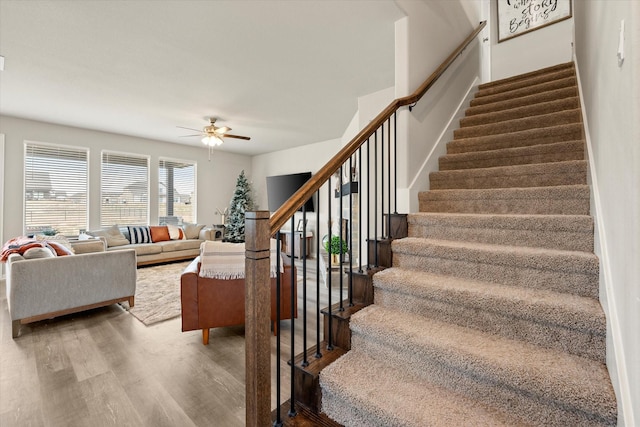 staircase featuring ceiling fan and hardwood / wood-style floors