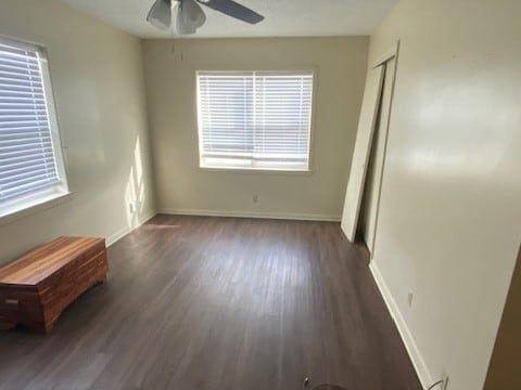 spare room featuring a wealth of natural light, dark wood-type flooring, and ceiling fan