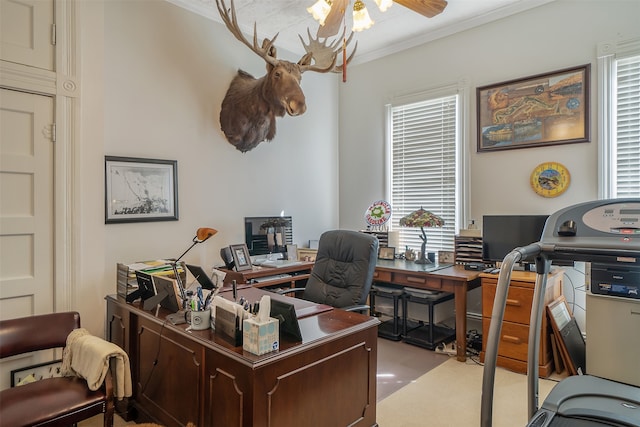 office featuring ceiling fan and crown molding