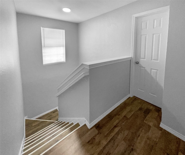 stairs featuring hardwood / wood-style floors