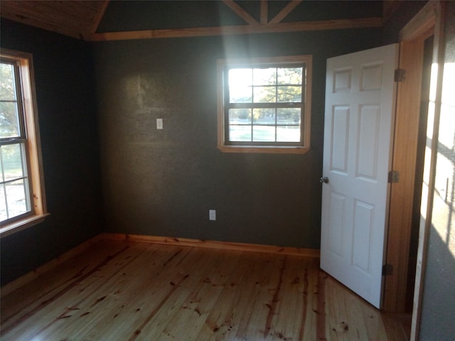 spare room featuring a wealth of natural light and light hardwood / wood-style flooring