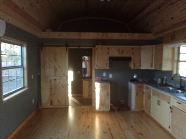 kitchen with a barn door, light hardwood / wood-style flooring, plenty of natural light, and sink