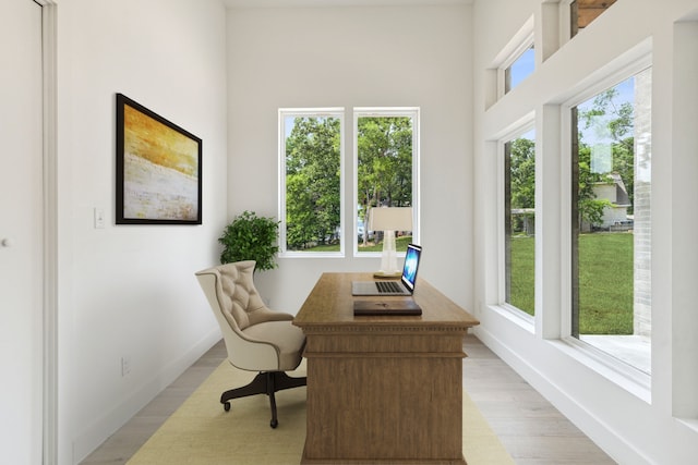 office space with a wealth of natural light and light hardwood / wood-style flooring