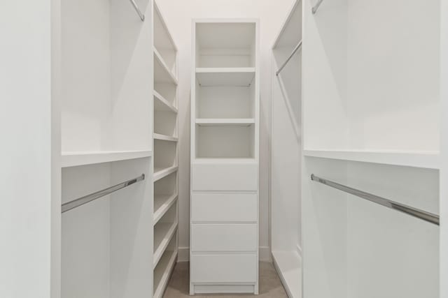 view of walk in closet