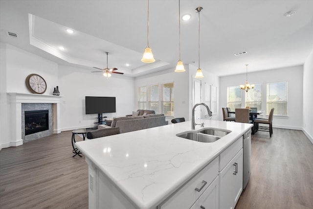 kitchen featuring a tray ceiling, visible vents, a sink, and wood finished floors