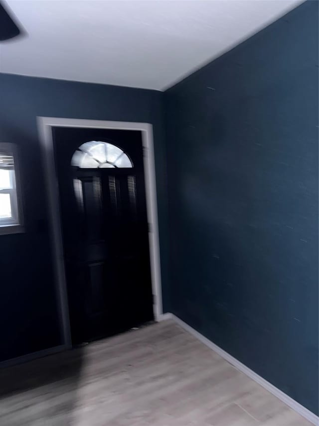 foyer entrance with hardwood / wood-style floors