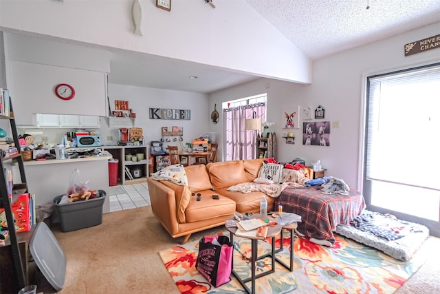 carpeted living room with a textured ceiling and lofted ceiling