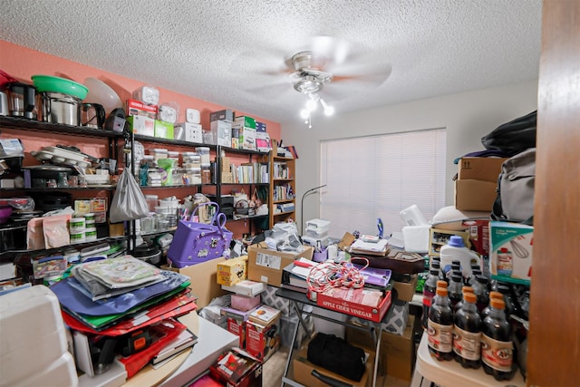 storage room featuring ceiling fan