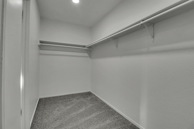 spacious closet with carpet