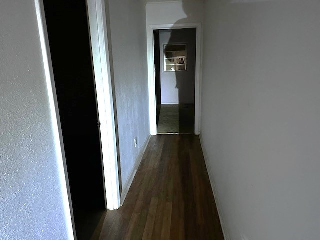 hallway featuring dark wood-type flooring