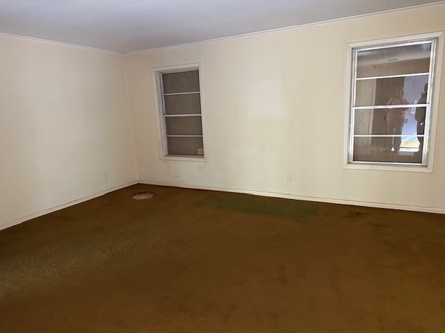 empty room with crown molding and carpet flooring