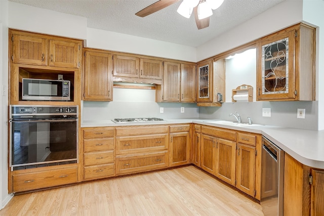 kitchen with sink, ceiling fan, light wood-type flooring, a textured ceiling, and stainless steel appliances