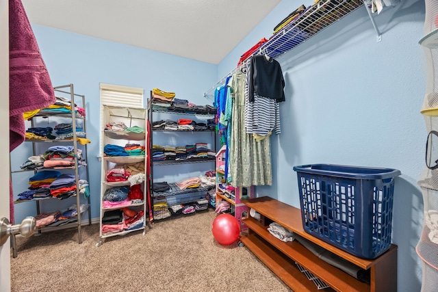 spacious closet featuring carpet flooring