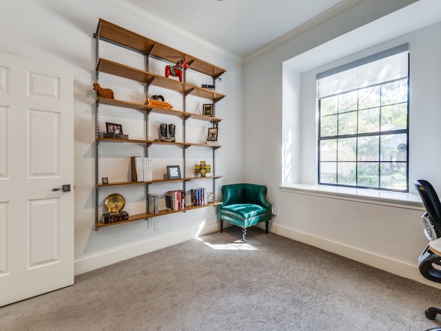 unfurnished room featuring light colored carpet and ornamental molding