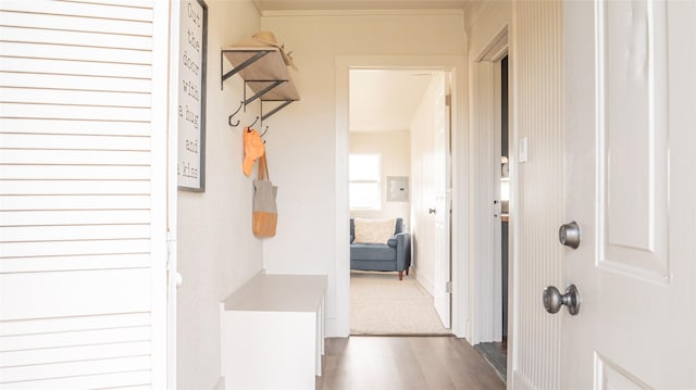 mudroom featuring wood finished floors