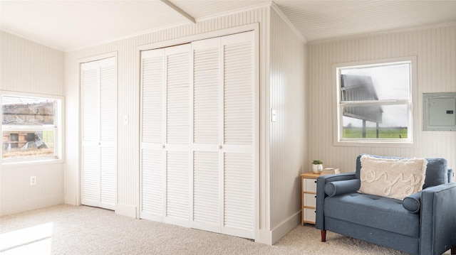 living area with carpet floors and electric panel