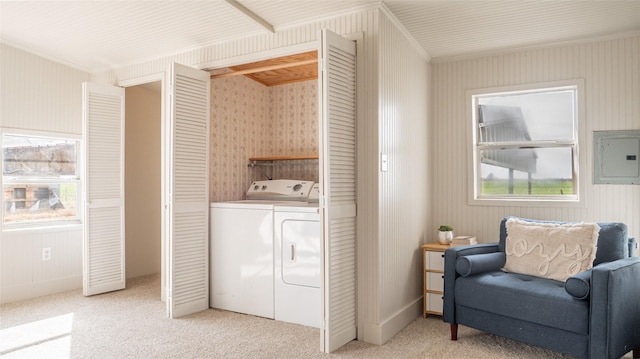 laundry room with laundry area, electric panel, separate washer and dryer, and light colored carpet