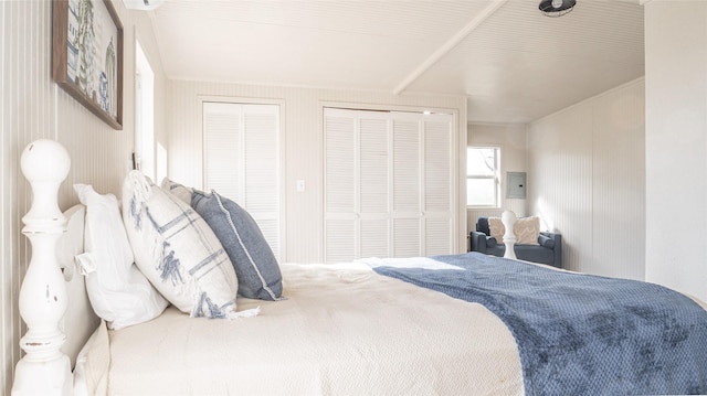 bedroom featuring electric panel and multiple closets