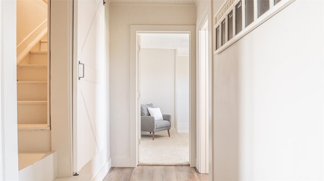 hall with light wood finished floors and a barn door