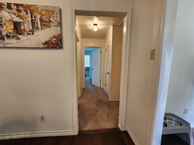 hall featuring dark hardwood / wood-style floors