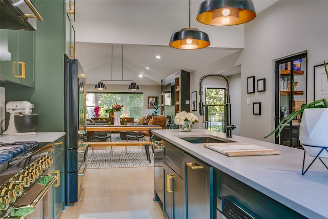 kitchen with hanging light fixtures, a wealth of natural light, light hardwood / wood-style floors, and sink