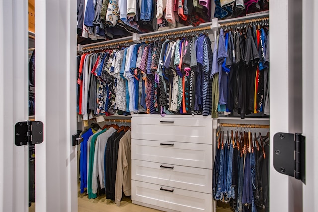 spacious closet with light wood-type flooring