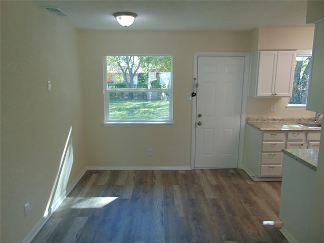 kitchen with white cabinetry and dark hardwood / wood-style flooring